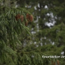 туристический комплекс 