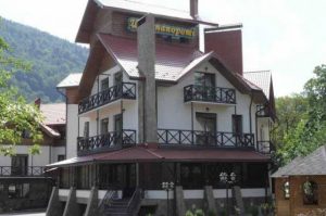 Цвет папоротника1