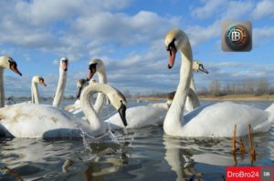 ВОДОХРАНИЛИЩЕ